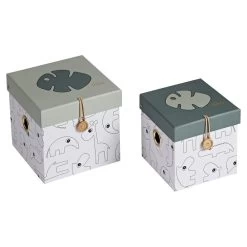 Done By Deer Opbergboxen Set 2 Stuks Small Tiny Tropics