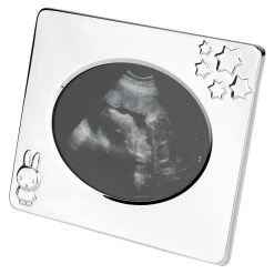 Zilverstad Echolijstje Nijntje Verzilverd