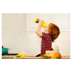 Munchkin Kid Miracle 360° Fruit Infuser Orange -Babyproducten Verkoop image 18396