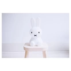 Mr. Maria Mr Maria Nijntje First Light -Babyproducten Verkoop image 29825