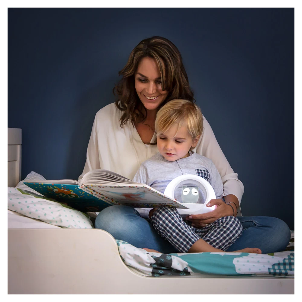 Zazu Nachtlampje Uil Grijs 6 Zazu Nachtlampje Uil Grijs - Afbeelding 4