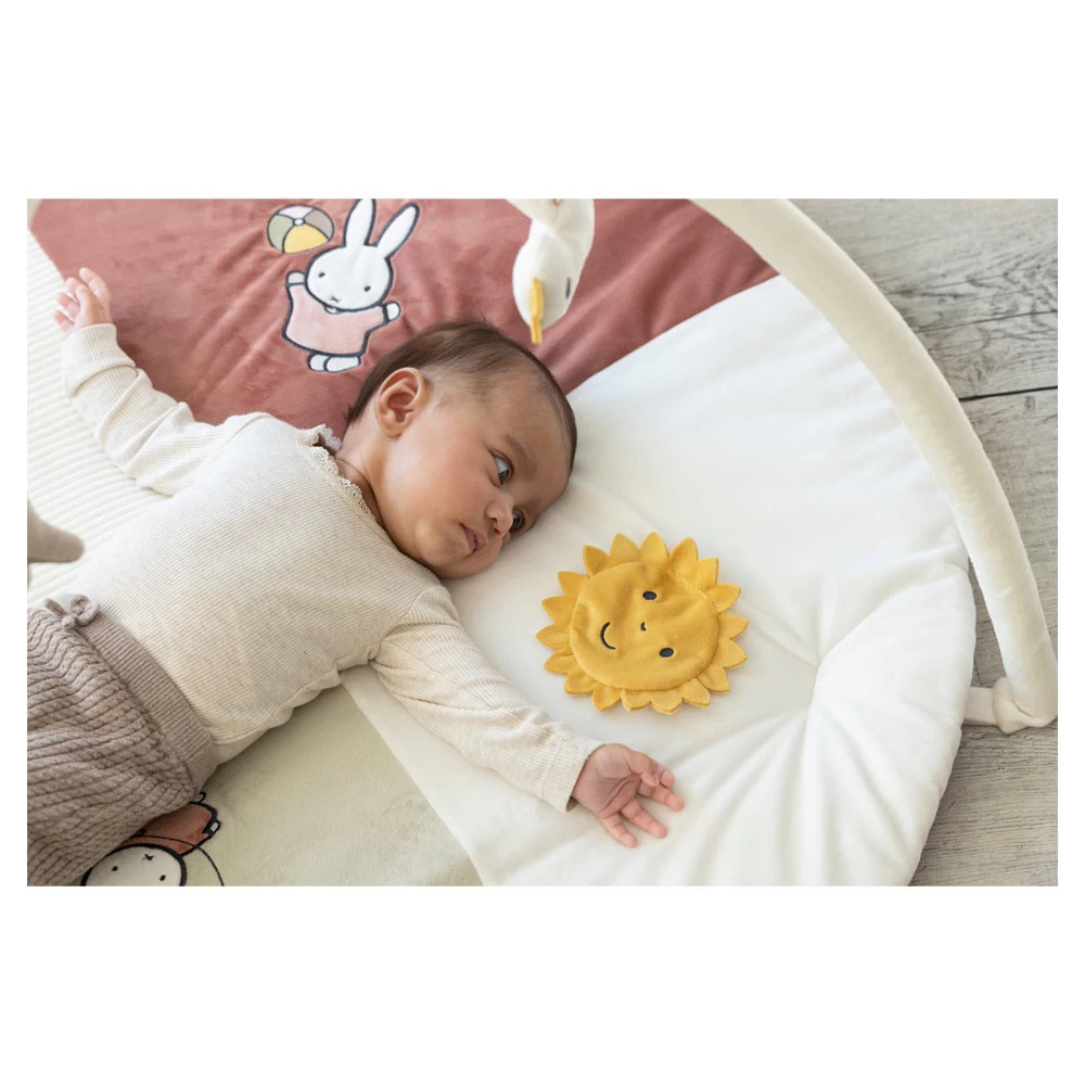 TiAmo Nijntje Speelkleed M/boog Fluffy Pink 8 TiAmo Nijntje Speelkleed M/boog Fluffy Pink - Afbeelding 6