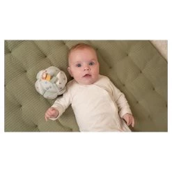 Little Dutch Speelball Little Farm -Babyproducten Verkoop image 33923