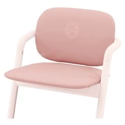 Cybex Lemo Comfort Inlay 10 Cybex Lemo Comfort Inlay -Babyproducten Verkoop image 36887