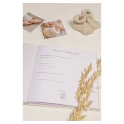 Little Dutch Babyboek "Mijn Eerste Jaar" Baby Bunny -Babyproducten Verkoop image 37260